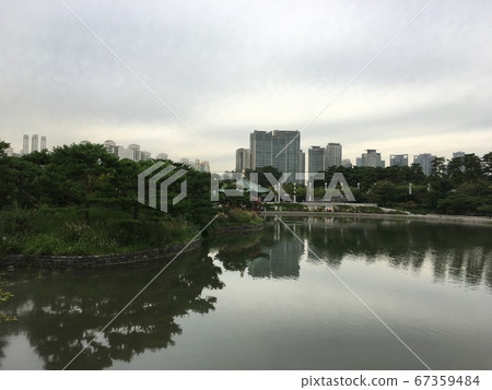 pond pond 67359484