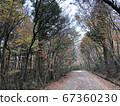 way 67360230