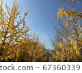 Autumn landscape 67360339