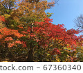 Autumn landscape 67360340