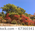 Autumn landscape 67360341