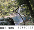 Landscape with waterfall 67360428