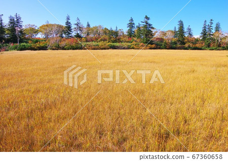 Autumn leaves around Shinsennuma, Kyowa-cho, Iwanai-gun, Hokkaido 67360658