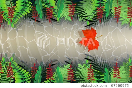 landscape of rill in the jungle 67360975