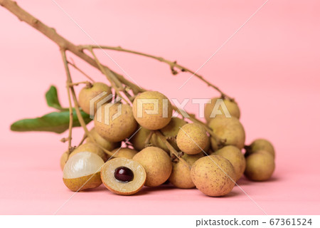 Fresh longan fruit on pink background, Tropical fruit Fresh longan fruit on pink background, Tropical fruit 67361524