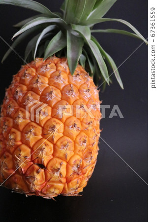Pineapple up Pineapple up 67361559