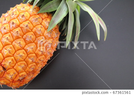Pineapple up Pineapple up 67361561