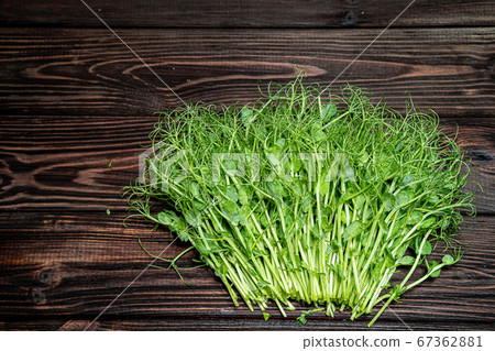 Cutted microgreen pea sprouts on old wooden table. Vegan and healthy eating concept. Growing sprouts 67362881