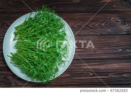 top view of fresh cutted pea microgreen sprouts on plate on wooden surface 67362885