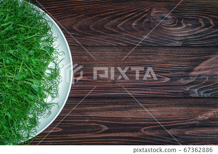 top view of fresh cutted pea microgreen sprouts on plate on wooden surface 67362886