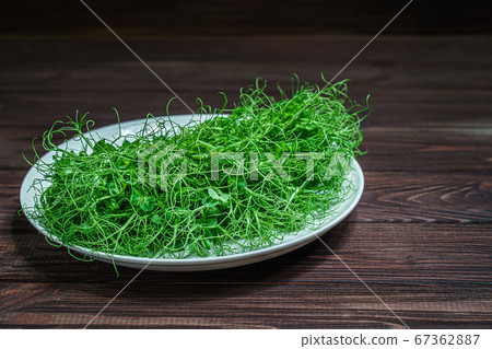 fresh cutted pea microgreen sprouts on plate on wooden surface 67362887