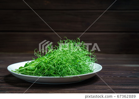 fresh cutted pea microgreen sprouts on plate on wooden surface 67362889