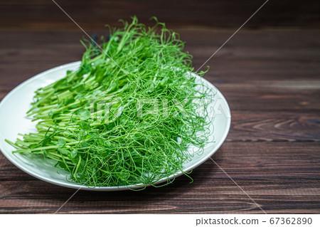 fresh cutted pea microgreen sprouts on plate on wooden surface 67362890