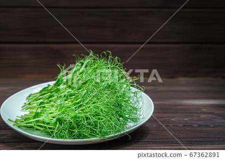 fresh cutted pea microgreen sprouts on plate on wooden surface 67362891