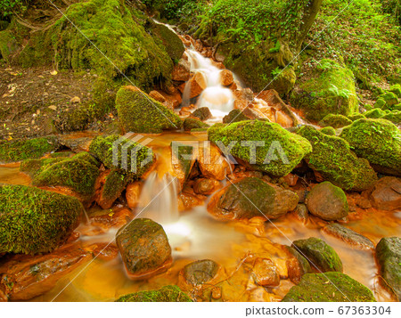 Stream at Sucha Kamenice iriver n the national 67363304