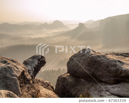 Perfect nature at dawn. Sunlight in soft mist Perfect nature at dawn. Sunlight in soft mist 67363339