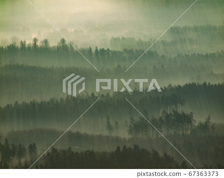 Forested hills slope in low lying cloud Forested hills slope in low lying cloud 67363373