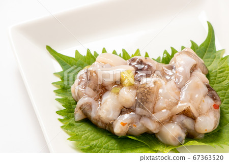 Takowasabi on the large leaf (Aojijino leaf). (White background) Takowasabi on the large leaf (Aojijino leaf). (White background) 67363520