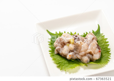 在大葉子(Aojijino葉子)上的Takowasabi。 (白色背景) 在大葉子(Aojijino葉子)上的Takowasabi。 (白色背景) 67363521