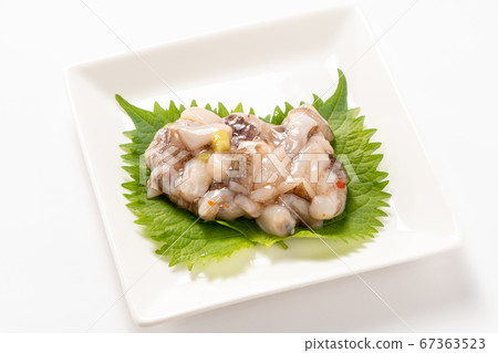 在大葉子(Aojijino葉子)上的Takowasabi。 (白色背景) 在大葉子(Aojijino葉子)上的Takowasabi。 (白色背景) 67363523