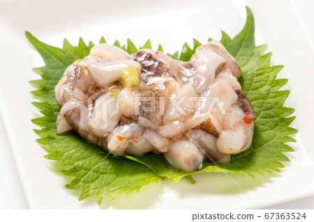在大葉子(Aojijino葉子)上的Takowasabi。 (白色背景) 在大葉子(Aojijino葉子)上的Takowasabi。 (白色背景) 67363524