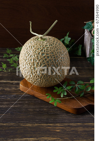 melon 67364990