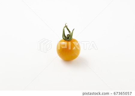  Mini Tomato 67365057