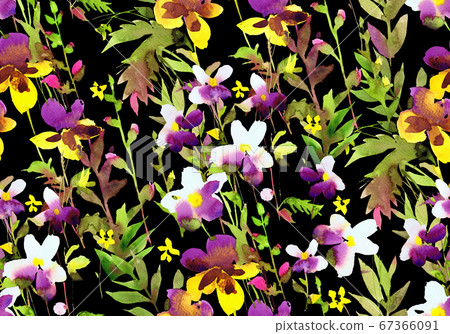Watercolor floral seamless pattern. - Stock Illustration [67366091] - PIXTA