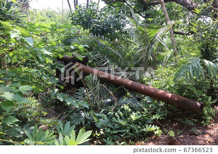 Battle of Mother Island 67366523