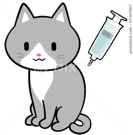 Cat hitting the injection - Stock Illustration [67367667] - PIXTA
