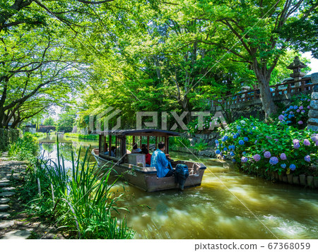 Omihachiman Hachimanborei Omihachiman Hachimanborei 67368059