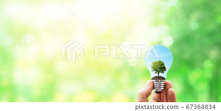 Hand holding green earth light bulb with blurry green natural in background. 67368834