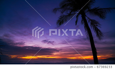 Beautiful sunset or sunrise with silhouette palm 67369233