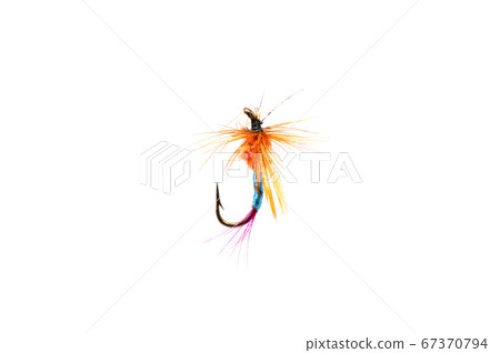 Fly for fishing on white background . 67370794