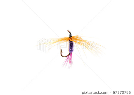 Fly for fishing on white background . Fly for fishing on white background . 67370796
