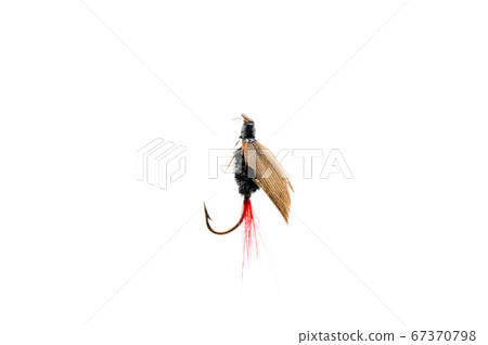 Fly for fishing on white background . 67370798