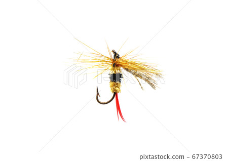 Fly for fishing on white background . Fly for fishing on white background . 67370803