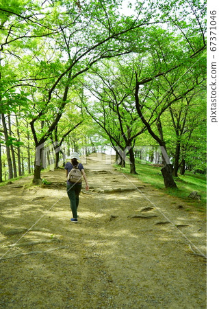 Matsumoto City Koboyama Tumulus Matsumoto City Koboyama Tumulus 67371046