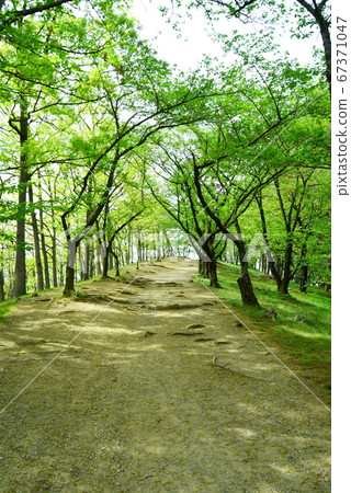 Matsumoto City Koboyama Tumulus Matsumoto City Koboyama Tumulus 67371047