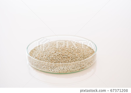 Natural Zeolite Mineral Stone Natural Zeolite Mineral Stone 67371208