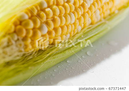 Yellow Corn Cob Closeup, Macro Shot on the white 67371447