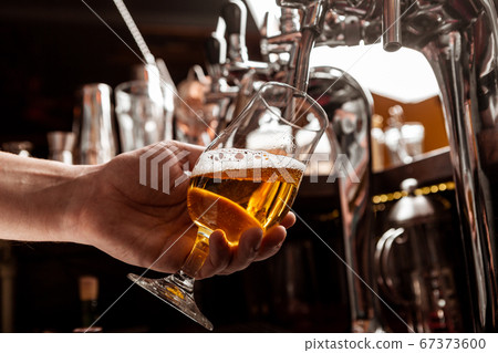 Client service at bar. Bartender pours a beer from tap in glass in interior 67373600
