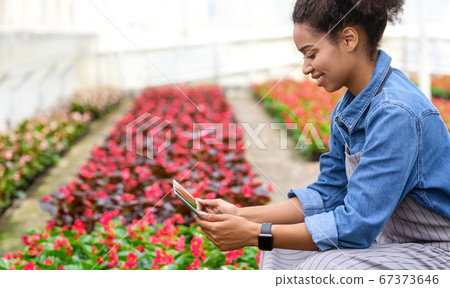Smiling african american girl in apron and smart watch, takes photos of flower. In interior of greenhouse Smiling african american girl in apron and smart watch, takes photos of flower. In interior of greenhouse 67373646