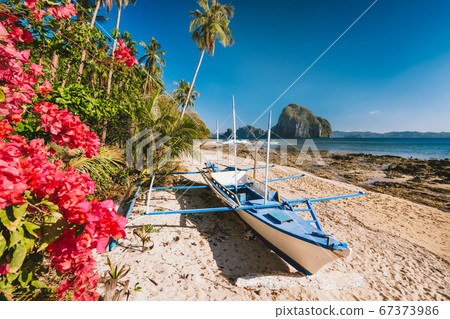 El Nido, Palawan, Philippines. Native banca boat and vibrant flowers at Las cabanas beach with amazing Pinagbuyutan island in background El Nido, Palawan, Philippines. Native banca boat and vibrant flowers at Las cabanas beach with amazing Pinagbuyutan island in background 67373986
