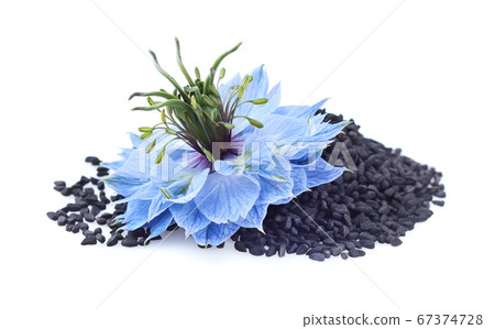 Black cumin seeds with nigella sativa flower on 67374728
