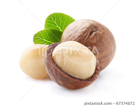 Macadamia nuts with leaves in closeup 67374872