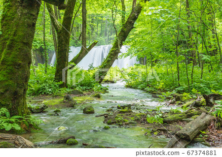 Oirase stream of early summer Oirase stream of early summer 67374881