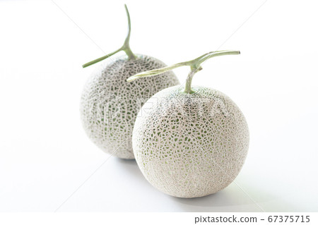 NetMelon安第斯山脈和昆西 67375715