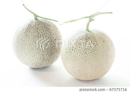 NetMelon安第斯山脈和昆西 NetMelon安第斯山脈和昆西 67375716