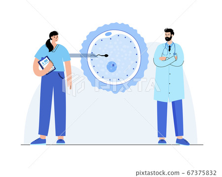 Reproductive system concept 67375832